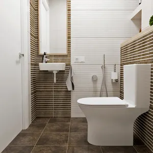 TOP איכות הטובה ביותר אמבטיה מוארת אסלה ארון חדר אמבטיה שירותים שני חלקים שירותים Wc