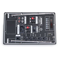 Penguat Suara Outdoor Craftsman HIFI 20W Logam/Plastik FM/Mic Nirkabel 12V/220V Dual Supply Pengisian Cepat Papan Amp Karaoke