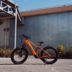 Bicicleta Eléctrica de 26 Pulgadas, 1000w, Neumáticos Anchos, Cuadro MTB 27.5 con Motor Central, Suspensión Completa, Fabricada en China - Product Image 1