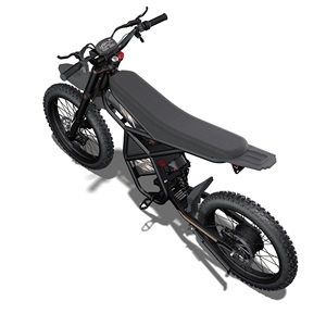 Bicicleta Eléctrica Híbrida de Montaña Ridingtimes GT73PRO para EE. UU. (3000W) y UE (250W) 60v - Product Image 3