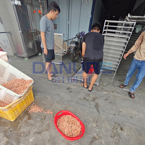 New Type Shrimp Shell Dryer Room Heat <b>Pump</b> Drying Oven Machine Dried Small Shrimps Dehydrator Equipment - Product Image 5