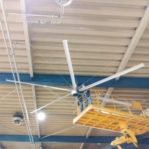 Ventilatore industriale grande ventilatore da soffitto industriale 24ft <span class=keywords><strong>il</strong></span> più popolare Hvls grandi ventilatori da soffitto industriali - Product Image 4