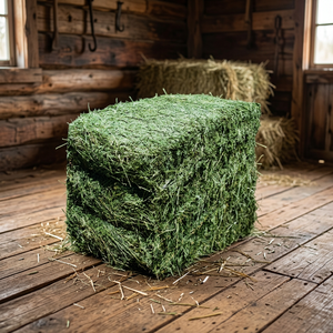 คุณภาพ Alfalfa Hay/Alfalfa - Product Image 2