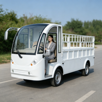 Bus utilitaire électrique de grande capacité à 2 places pour le transport de passagers, idéal pour les hôtels, les stations balnéaires, les entreprises et les excursions touristiques