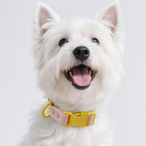 Ошейник для собак из ПВХ, цвет макарон, водонепроницаемый, легко моется, устойчивый к запахам, регулируемый, для ежедневных прогулок и прогулок в дождливую погоду, аксессуары для выгула питомцев - Product Image 2