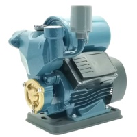 RUIQI pabrik PS150B kualitas tinggi 0.37KW priming otomatis elektrik 0.5HP harga pompa tekanan perifer PS200 pompa air otomatis
