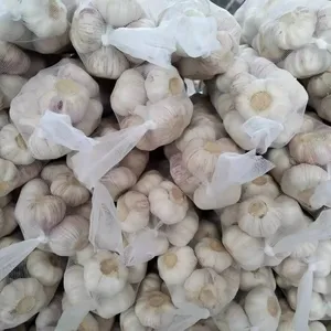 Chinese Fresh garlic white in fresh vegetables and fruits company