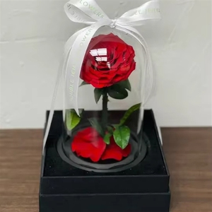 Rose Eterne Preservate Incantate in Cupola di Vetro con LED - Product Image 2