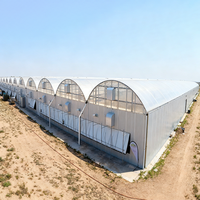 Goedkope tomaten- en aardbeienkweektunnels, polycarbonaat multi-span PC landbouwkassen