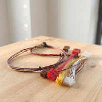 Faisceau de câblage personnalisé pour tachygraphe en Y, kit de câblage pour appareils électroménagers en PVC avec connecteur blanc et rouge, longueur personnalisée, couleur OEM