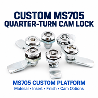 Serrure à came à quart de tour personnalisée MS705 avec inserts à double bit triangulaires carrés pour armoires électriques
