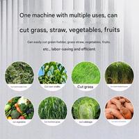 Broyeur de légumes broyeur d'herbe alimentation poulet cochon maison d'élevage broyeur de légumes électrique Melon découpeuse de légumes