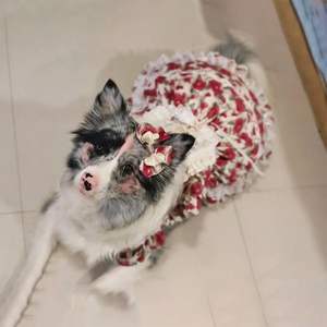 Vêtements pour animaux de compagnie de luxe OEM ODM, robe Lolita moderne pour chiens, été, printemps, hiver, XL, polyester, nouveaux vêtements pour chiots - Product Image 5