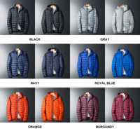 Logo personnalisé extérieur léger chaud plume de canard hommes Nylon à capuche hiver bulle bouffée vers le bas manteau bouffantes vestes avec capuche