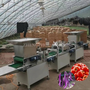 Offre Spéciale légumes et graines de fleurs plateau automatique machine à semer plateau de pépinière semoir machine pour planter des graines dans le plateau de semis - Product Image 1