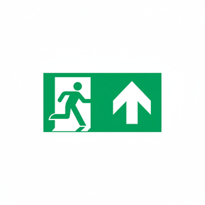 Uscita di emergenza segno freccia sinistra-300 in alluminio luminescente * 160 mm - Product Image 2