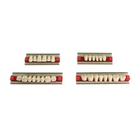 Fausses dents en résine acrylique dentaire OEM pour prothèses dentaires Dents en résine synthétique à deux couches