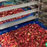 Gevriesdroogde Durian Mango Jackfruit Mangosteen Vogel Nest Vacuüm Voedsel Droger Fruit Droger Machine