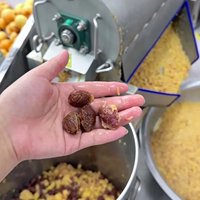 Ligne de production de jus de fruits, ligne de transformation complète pour jus de pêche, prune, abricot, grenade
