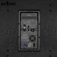 Module d'amplificateur de puissance de haut-parleur actif de classe D professionnel OEM d'usine 1000W pour haut-parleur de subwoofer de 18 pouces