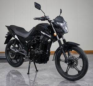 <span class=keywords><strong>Moto</strong></span> Électrique CKD SKD 18 Pouces Wuxi 2500W Vitesse 70km/h Vélo Électrique Adulte en Vente - Product Image 5