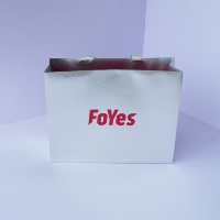 Weiße Karton-Geschenktüte mit Individuell Bedrucktem Logo für Unternehmenswerbung und Supermarkt-Promotion mit Gestanzten Griffen im Offsetdruck