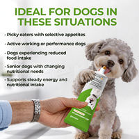 Gel nutritionnel à marque privée avec vitamines et minéraux, complément multivitaminé pour animaux de compagnie, friandises pour chiens et chats