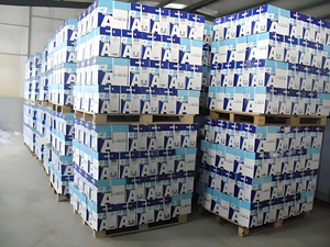 Papier de copie double bond A4 rigide en gros, 80 g/m², 75 g/m², 70 g/m², 500 rames, pour impression offset et copie, conteneur de 20 pieds - Product Image 4