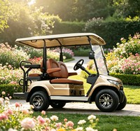 Buggy utilitaire électrique à basse vitesse A817.2+2, pour les plages côtières