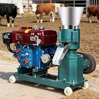 Granulateur de granulés d'aliments pour animaux à moteur diesel, pour maïs et paille, pour poulets, canards, lapins, porcs, bovins, ovins, petite machine d'alimentation domestique