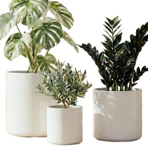 Macetas Modernas de Cerámica Blanca, Macetas Cilíndricas Esmaltadas para Plantas y Flores, Decoración Minimalista para Interiores del Hogar - Product Image 4