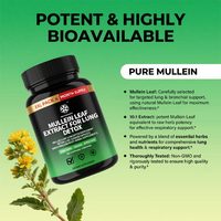 Capsules de soutien et de nettoyage des poumons de marque privée pour fumeurs Supplément d'extrait de feuille de molène Capsules de nettoyage des poumons de désintoxication