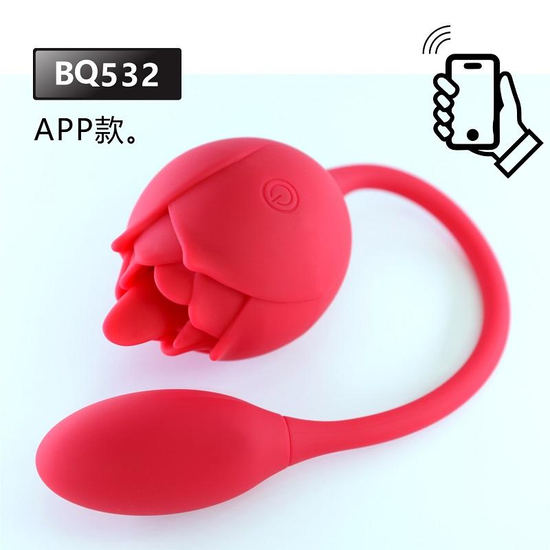 rose BQ533 APP