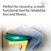 Zhensheng OEM Disco de Equilibrio Inflable 2 en 1 para Pilates, Ejercicio, Entrenamiento del Core y Terapia con Masaje