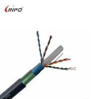 23AWG PVC Jacket Armored Cat6 UTP Cable 100M 305m 250MHz 1Gbps Cable de parche de fibra de cobre blindado para cables de comunicación interior