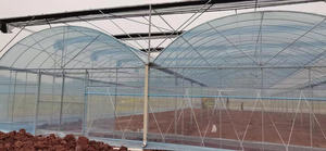 Achat Bâche UV Plastique <span class=keywords><strong>Pour</strong></span> <span class=keywords><strong>Serre</strong></span> Verticale Chaleur Plastique <span class=keywords><strong>200</strong></span> Micron Agriculture Couverture Tissu Philippines - Product Image 3