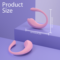 Kabelloser USB-Aufladbarer Ferngesteuerter App-gesteuerter Tragbarer Paar-Vibrator für Frauen 9 Frequenzen IPX7 Wasserdichtes Sexspielzeug