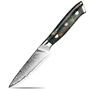 削皮刀3.5英寸锋利水果实用刀-日本VG-10超级钢67层大马士革钢刀-用于雕刻和剥离