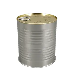 簡単に開けられる缶はケチャップやその他の缶詰食品包装に使用できます