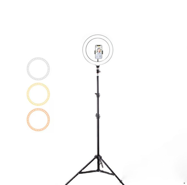 12 Inch LED Ring Light with Tripod Stand Adjustable Color Temperature Waterproof & Portable for Livestreaming