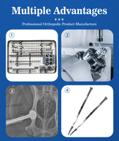 Système de remplacement de la hanche à double action MINI vétérinaire en titane pour chiens de petite et moyenne taille, chirurgie de la dysplasie de la hanche, CE