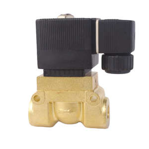 صمام ملف لولبي عالي الضغط 50 بار بضغط عال درجة الحرارة من نوع acbsp 12 فولت 24 فولت تيار مستمر 220 فولت N.C من نوع PTFE صمام نحاسي تجريبي - Product Image 5