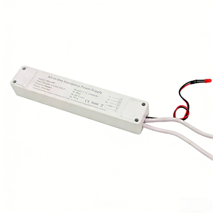 Convertisseur LED d'urgence AC-DC double sortie 20W avec boîtier en plastique, efficacité 90-99%, certifié ROHS, garantie 2 ans - Product Image 4