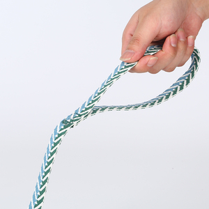 Collare e guinzaglio per cani a basso costo promozionale in fabbrica - Product Image 5