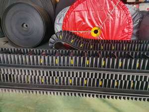 Çin büyük daldı<span class=keywords><strong>rma</strong></span> açısı konveyör bant - Product Image 2