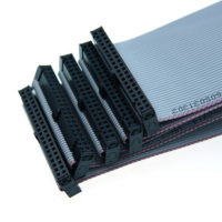 Câble ruban plat IDC personnalisé de 2.54mm avec FC 6/8/10/14/16/20/26/30/34/40P prise IDE double rangée câble d'extension femelle FC 40 broches