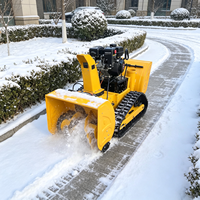 Déneigeuse à chenilles thermique robuste pour la déneigement routier municipal et commercial
