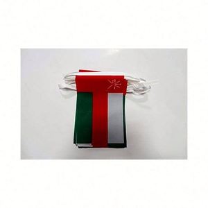 Hot Selling New Oman Omani 5.5*8.2 Inch Bunting String Pennant Flag <b>Banner</b> Outdoor for All Weather - Product Image 5