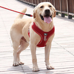 Arnês De Cão De Luxo Com Trela Durável Dog <span class=keywords><strong>Harness</strong></span> Set À Prova De Explosão Reflexivo Respirável Ajustável Acessórios Do Cão - Product Image 5
