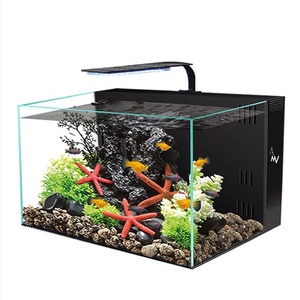 <span class=keywords><strong>Acquario</strong></span> Rettangolare Mini di Alta Qualità con Lampada LED, Elegante Decorazione per Soggiorno - Product Image 1